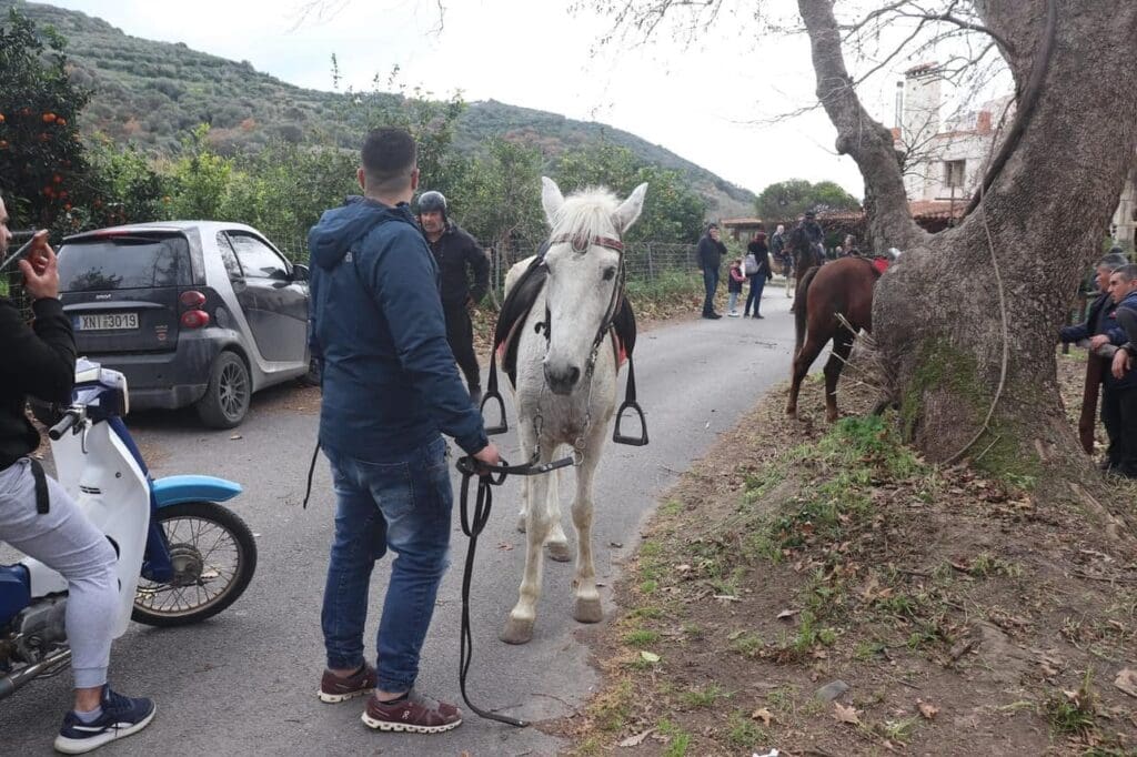 Ιππικός Σύλλογος «Άγιος Δημήτριος»
