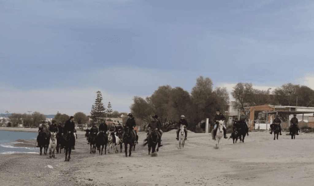 Ιππικός Σύλλογος «Άγιος Δημήτριος»