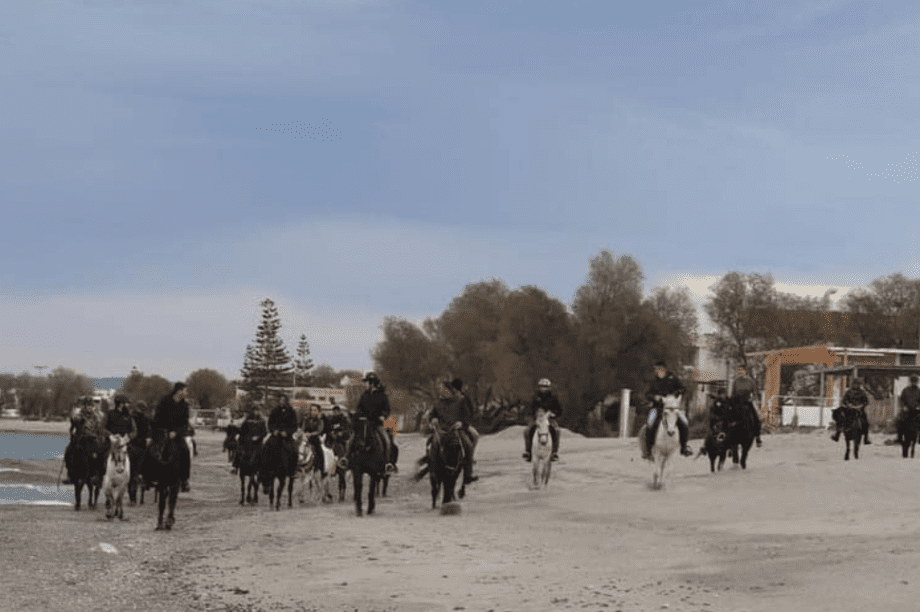 Ιππικός Σύλλογος «Άγιος Δημήτριος»