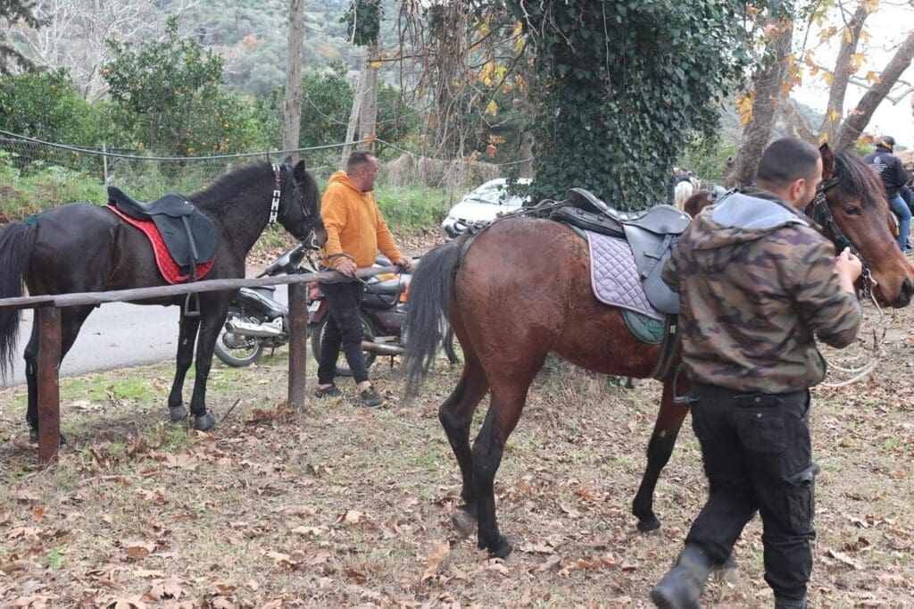 Ιππικός Σύλλογος «Άγιος Δημήτριος»