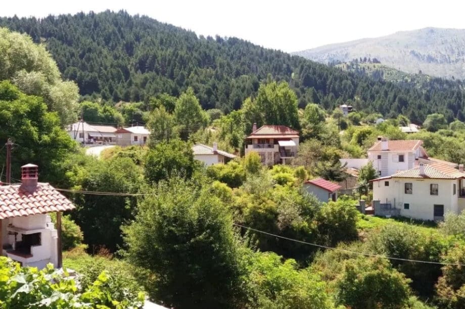 Κοζάνη Χωριό