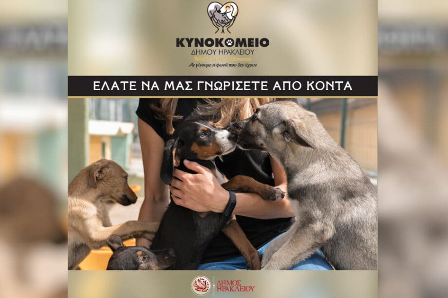Κυνοκομείο Ηρακλείου