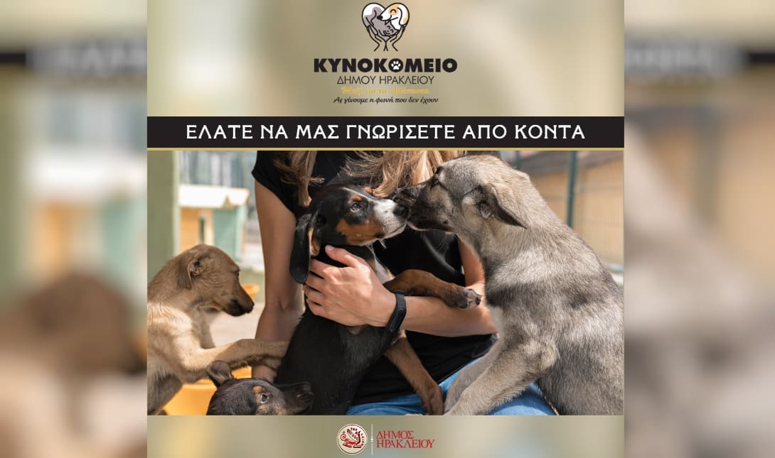 Κυνοκομείο Ηρακλείου
