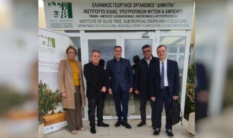 Περιφέρεια Κρήτης