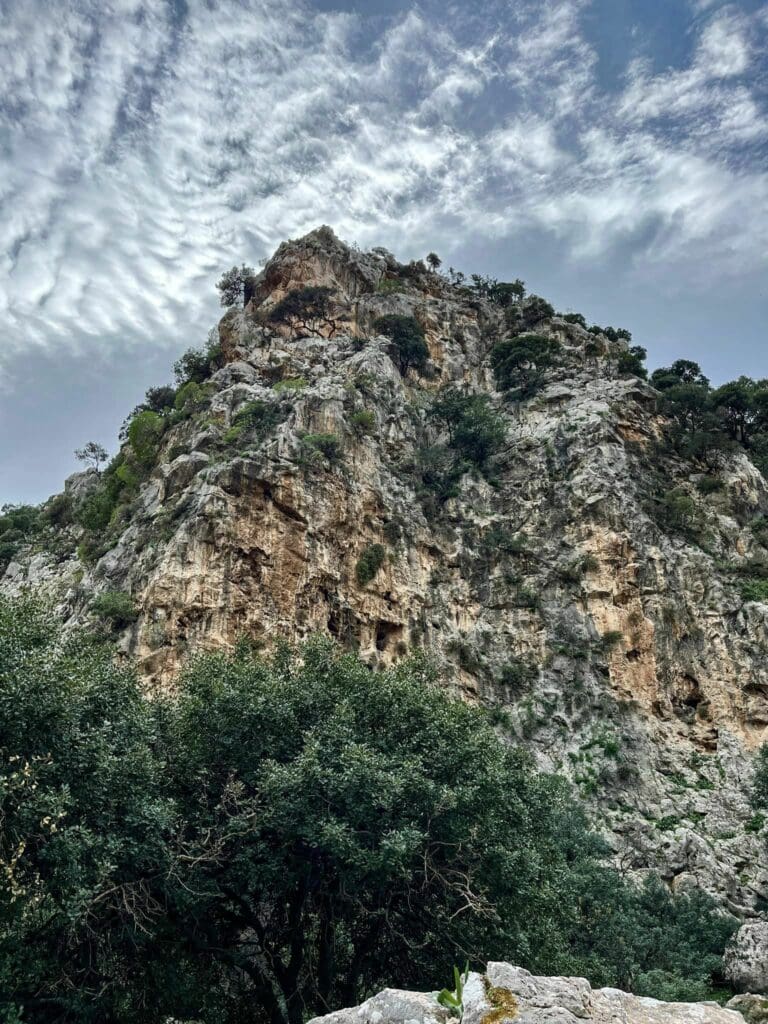 Ορειβατικός Σύλλογος Αγίου Νικολάου 