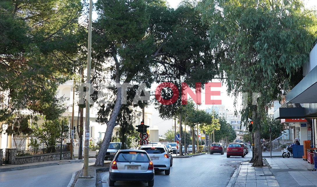Μασταμπάς πεύκα