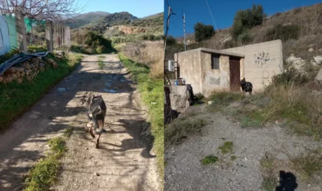 Σκοπή Σητείας