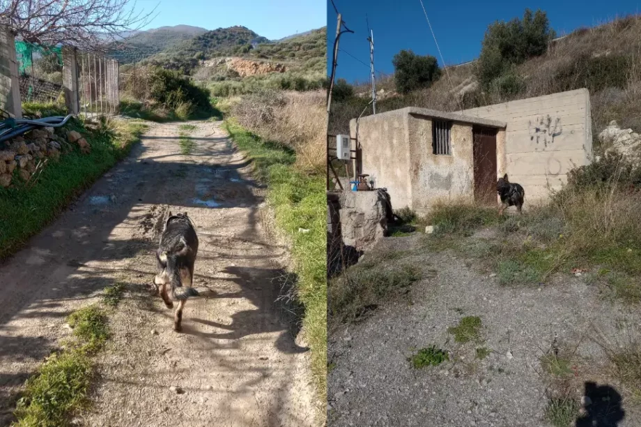 Σκοπή Σητείας