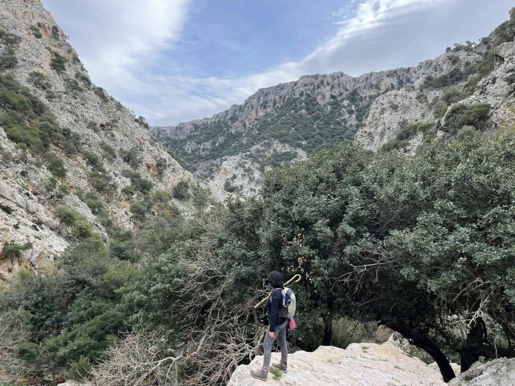 Ορειβατικός Σύλλογος Αγίου Νικολάου
