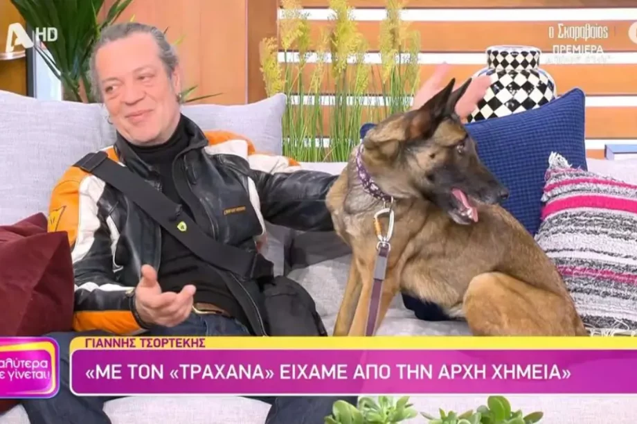 Γιάννης Τσορτέκης