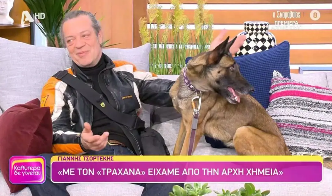 Γιάννης Τσορτέκης