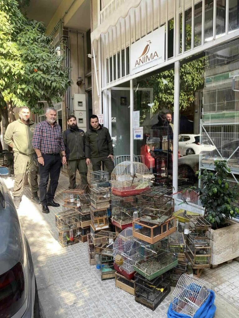 ΑΝΙΜΑ πουλάκια
