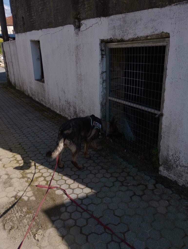 Ηράκλειο: Καθαρή από δολώματα η Βόνη