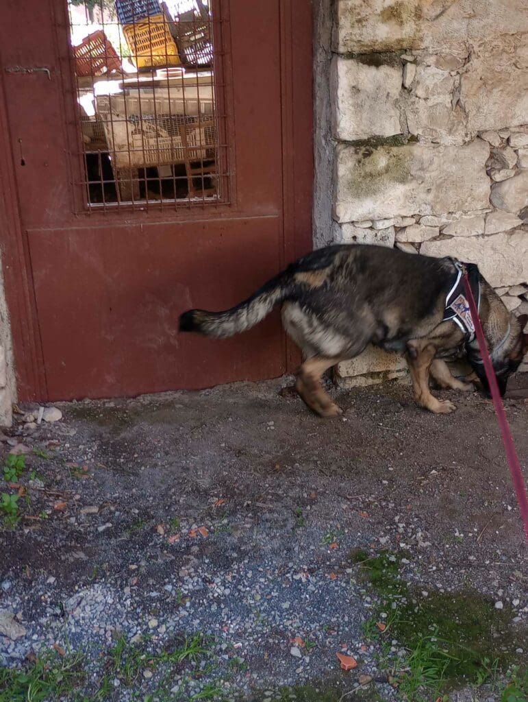 Ηράκλειο: Καθαρή από δολώματα η Βόνη