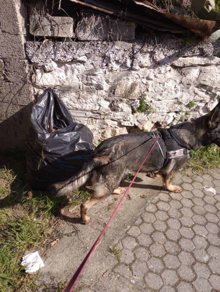 Ηράκλειο: Καθαρή από δολώματα η Βόνη