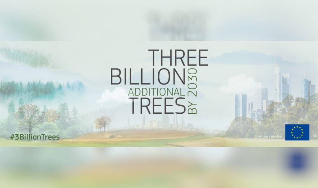 Ευρωπαϊκή επιτροπή δέντρα αναδάσωση