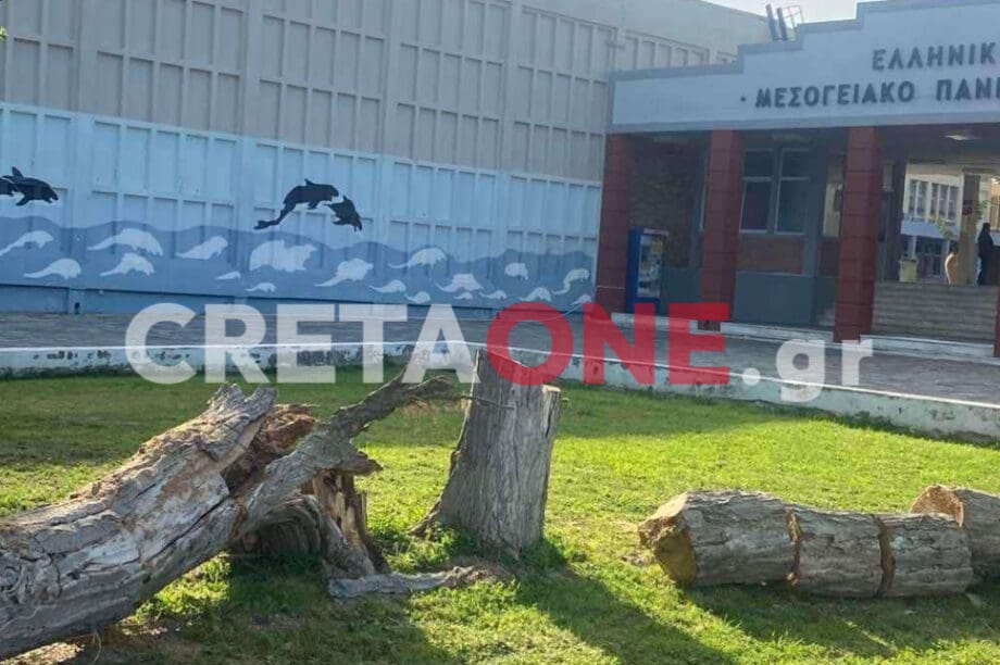 ΕΛΜΕΠΑ δέντρα