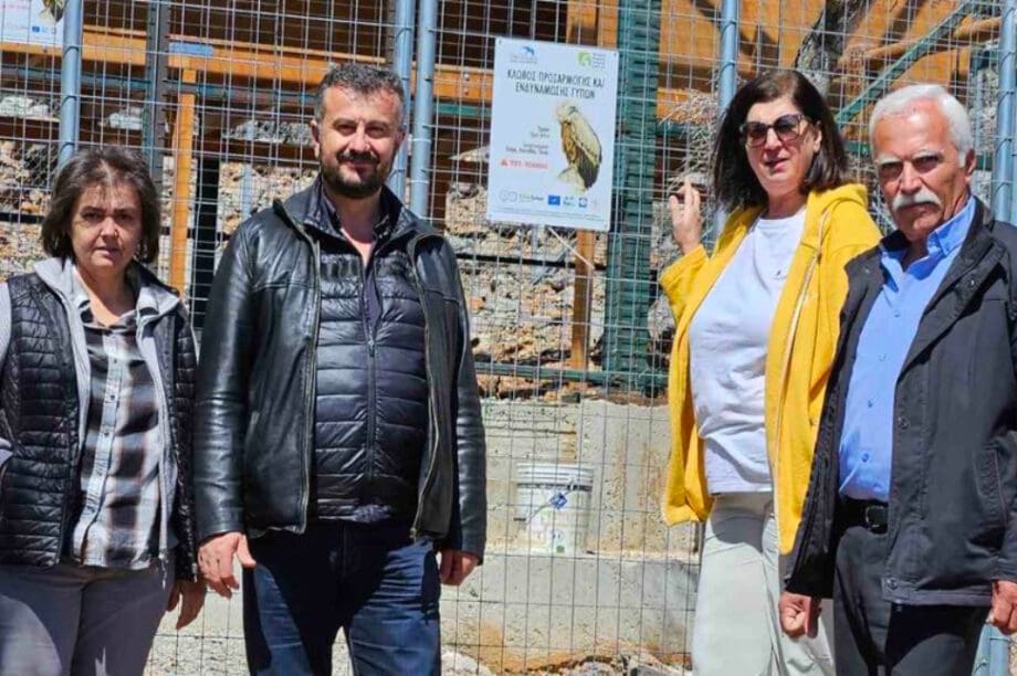 κλωβό φιλοξενίας και εγκλιματισμού γυπών και άλλων ειδών ορνιθοπανίδας