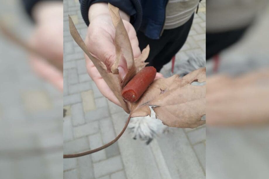 Λουκάνικα φόλες
