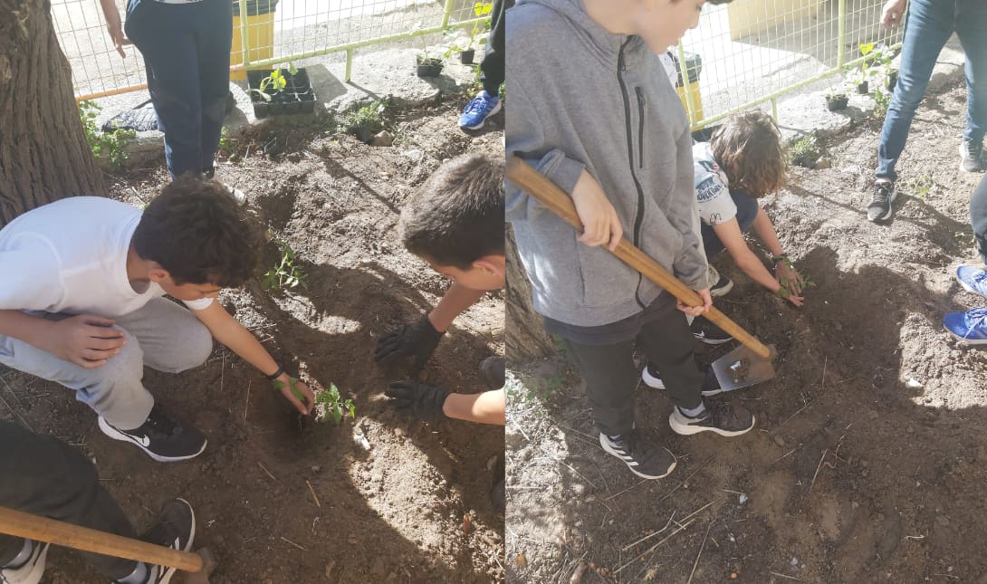 Χανιά: Μαθητές έγιναν... αγρότες - Δημιούργησαν τον δικό τους κήπο