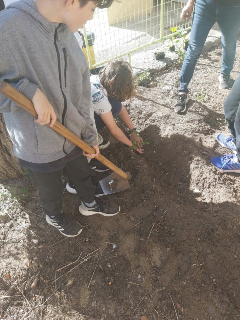Χανιά: Μαθητές έγιναν... αγρότες - Δημιούργησαν τον δικό τους κήπο 