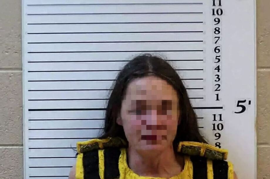 Θρίλερ στην Βόρεια Καρολίνα: Μητέρα σκότωσε τα δίδυμα αγόρια της