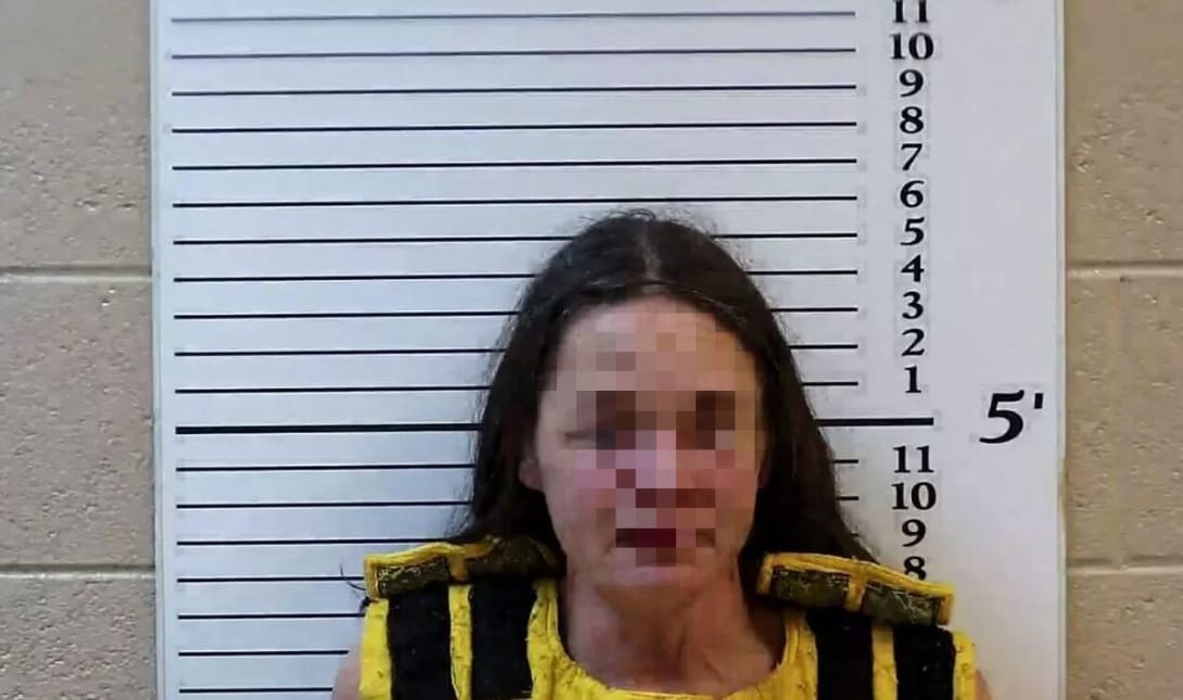 Θρίλερ στην Βόρεια Καρολίνα: Μητέρα σκότωσε τα δίδυμα αγόρια της