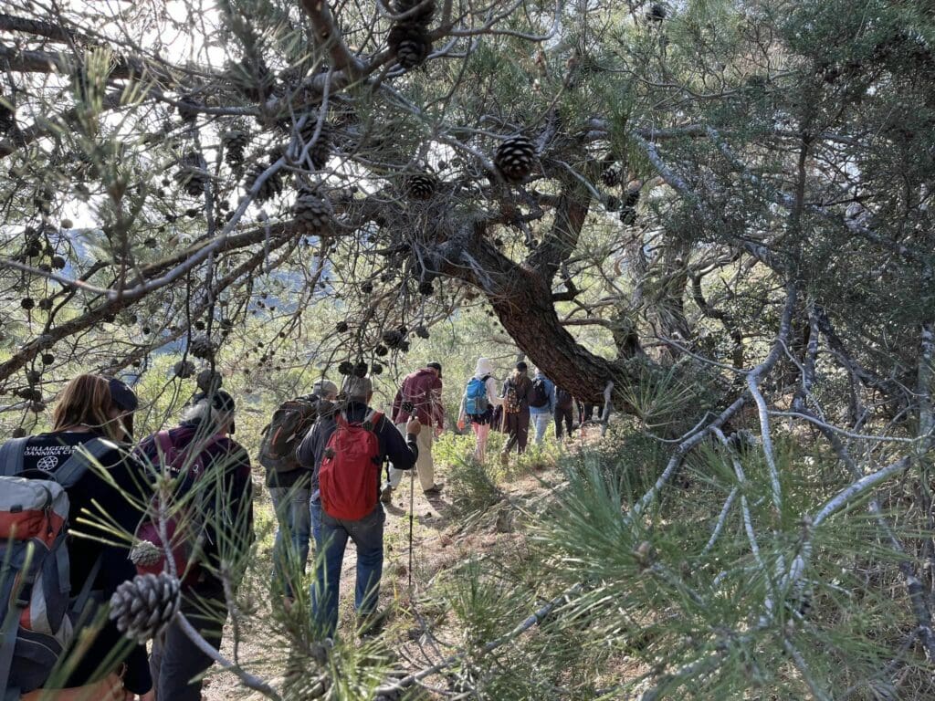 Ορειβατικός Σύλλογος Αγίου Νικολάου