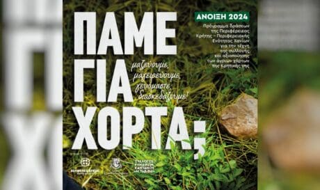 Δράσεις για τη διάδοση της τέχνης της συλλογής και αξιοποίησης των άγριων χόρτων της Κρήτης