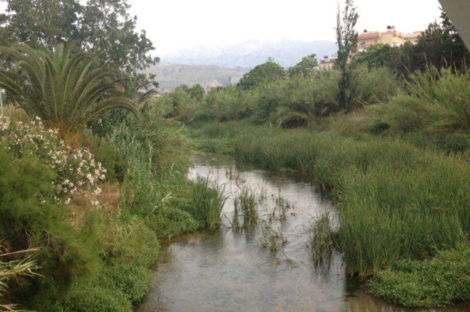 Ποταμός Κλαδισός