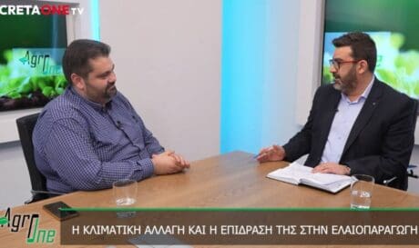 Σταύρος Τζεδάκης