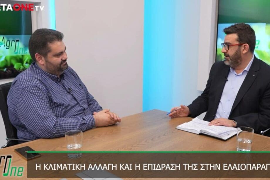 Σταύρος Τζεδάκης
