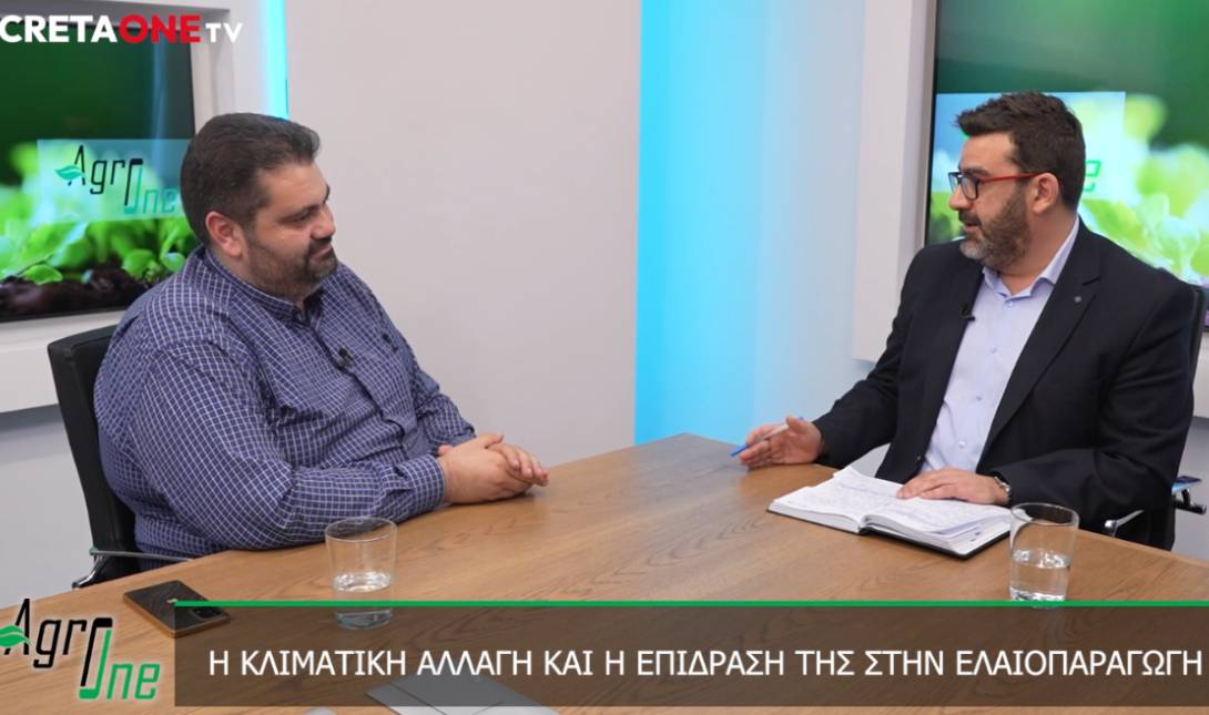 Σταύρος Τζεδάκης
