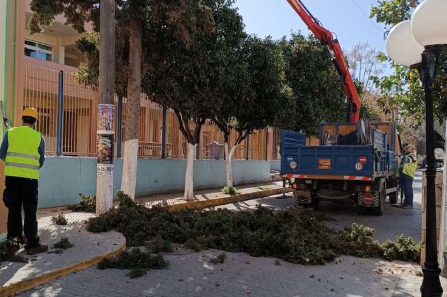 εργασίες πράσινου
