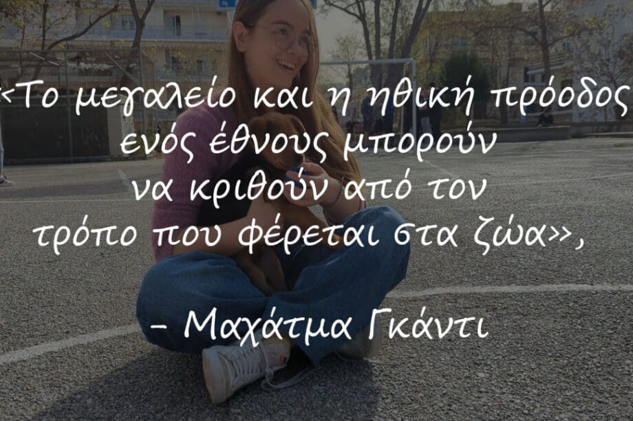 Χανιά: Μαθητές στέλνουν ηχηρό μήνυμα για την Παγκόσμια Ημέρα αδέσποτων ζώων