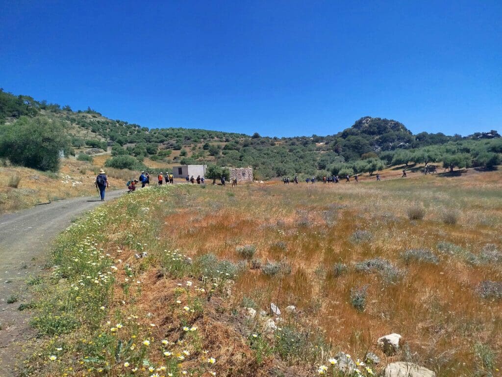 ΥΨΙΠΕΔΟ ΛΥΓΙΑΣ Άρβη