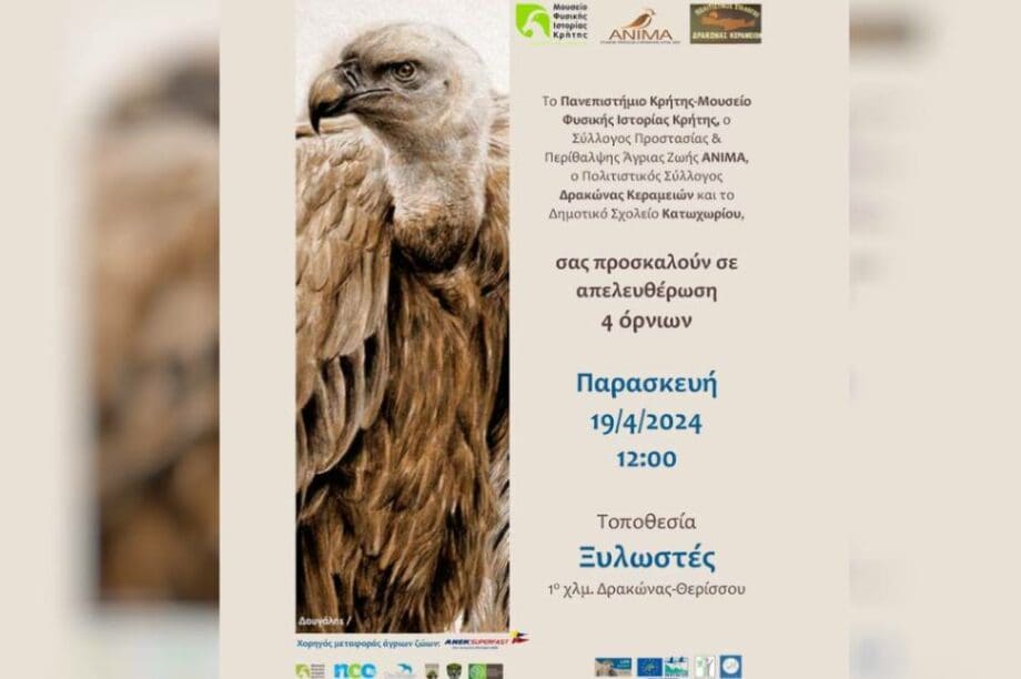 ΑΝΙΜΑ