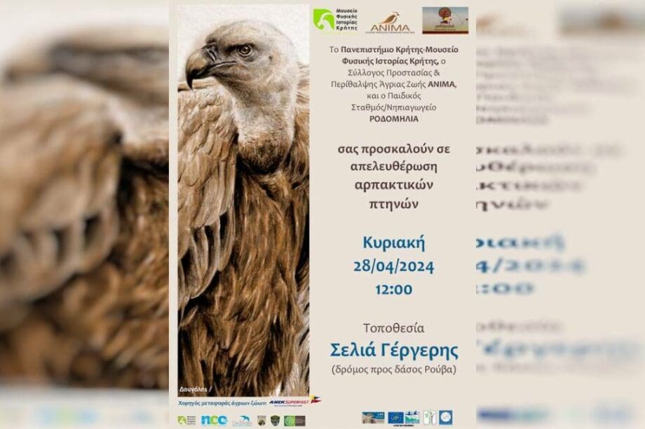 απελευθέρωση πτηνών