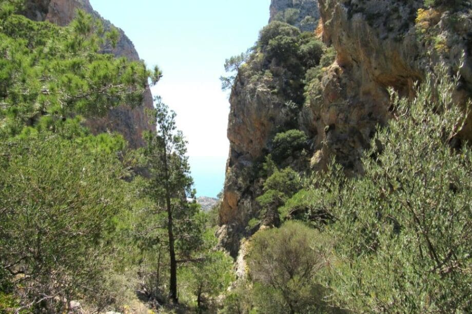 Άρβη