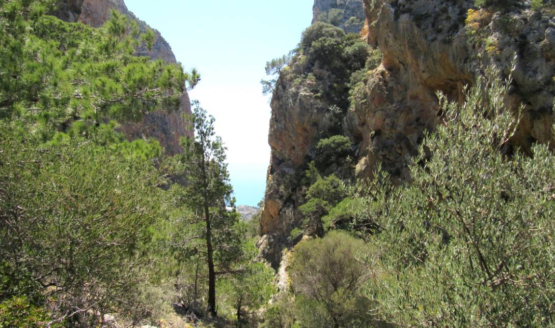 Άρβη