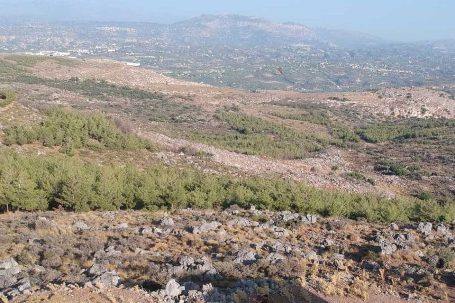 Δάσος Κέρης Μαλεβίζι