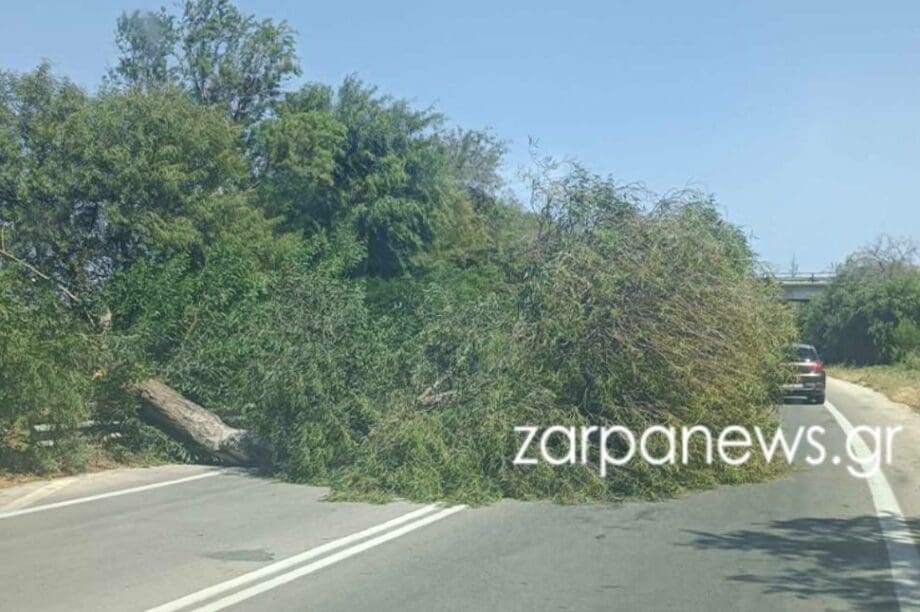 δέντρο Χανιά