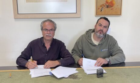 Δήμος Πλατανιά