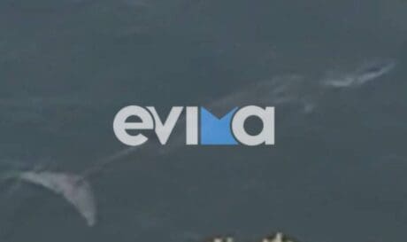 Φάλαινα