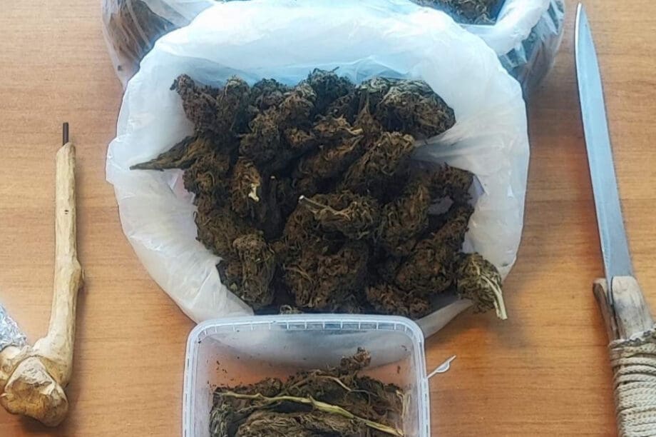 κάνναβη