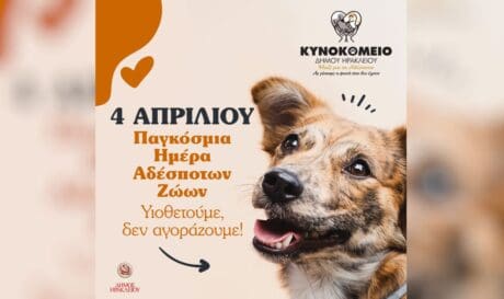κυνοκομείο Ηρακλείου