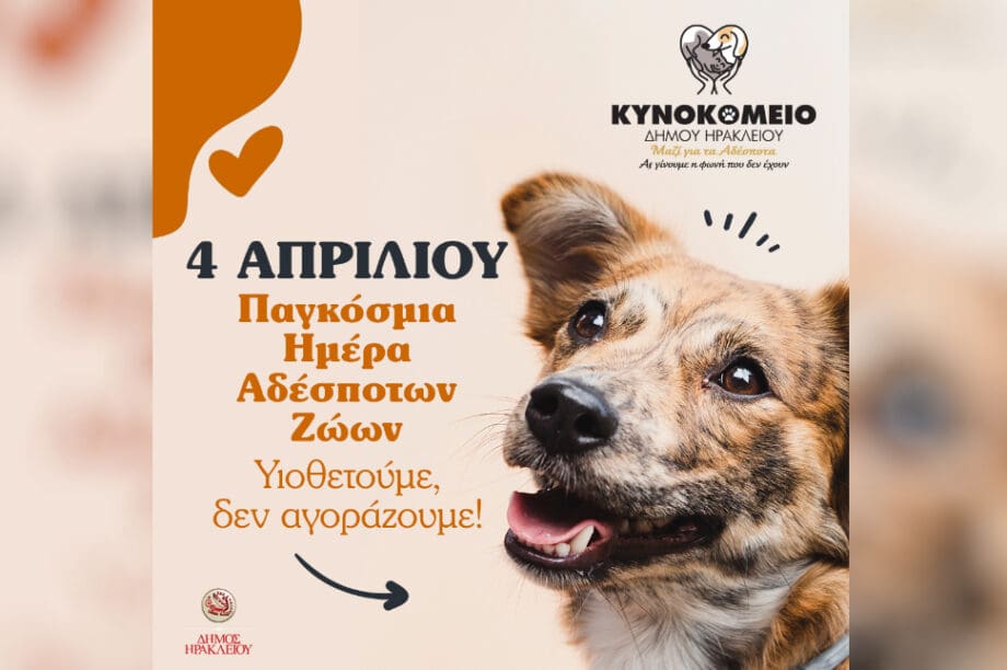 κυνοκομείο Ηρακλείου