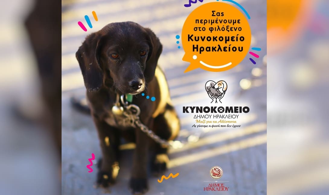 Κυνοκομείο Ηρακλείου