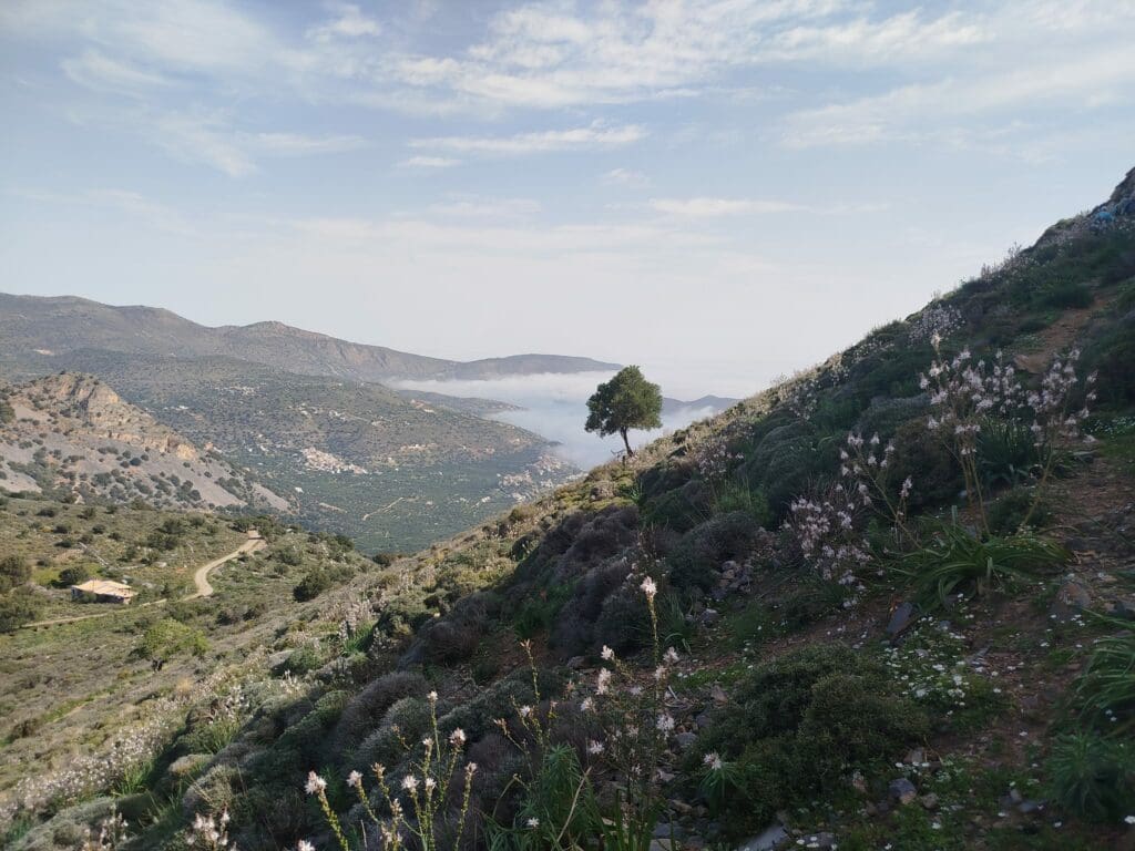 Ορειβατικός Σύλλογος Αγίου Νικολάου
