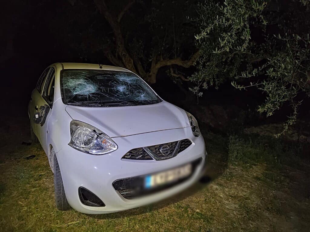 Ελληνική Ορνιθολογική Εταιρεία